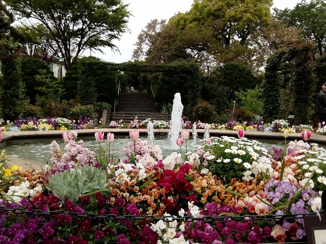 春の港の見える丘公園の様子